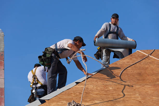 Best Roof Gutter Cleaning  in Glide, OR